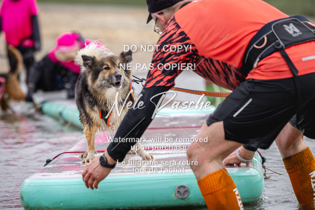 nelerasche_Hulsbeek_Sa1130-1230_513 | nelerasche