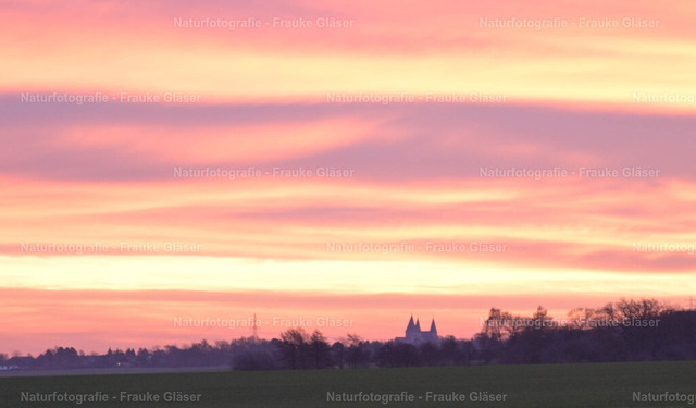 F.Gläser_63_Bornum_06. Dezember 2025 | Naturfotografie Frauke Gläser - Realisiert mit Pictrs.com