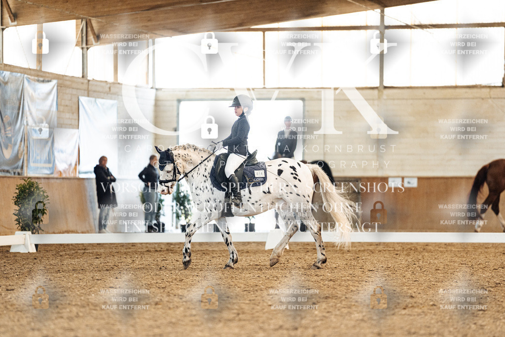 CK908918 | Turnierfotografie Pferdefotografie Trier Rheinland-Pfalz Pferdesport Reitsport Tierfotografie Sportfotografie Pferdevideo Pferdevideografie Equestrianvideography equestrianphotography  - Realisiert mit Pictrs.com