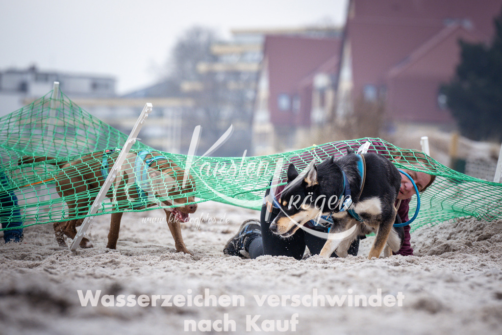 1220_ZZ93596 | kk-dogfotos