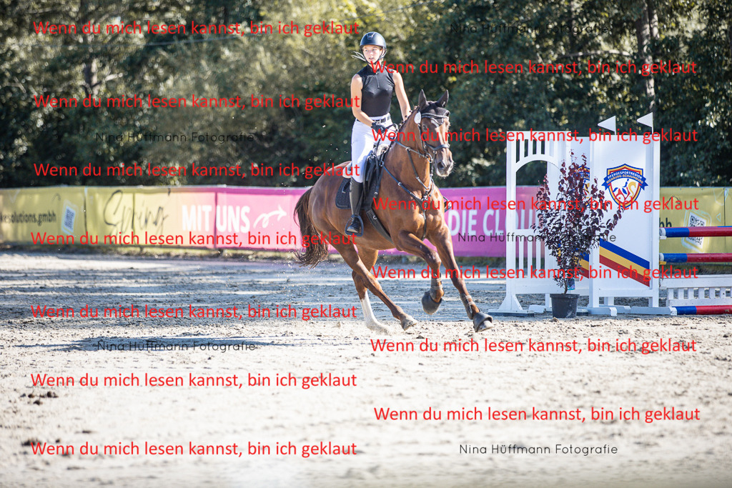 BK1A7303 | Turnierbilder Turnierfotos Nina Hüffmann Turnierfotografie Pferdefotografie Tierzeichnung Haustierzeichnung Pferdezeichnung Hundezeichnung Videograf  - Realisiert mit Pictrs.com