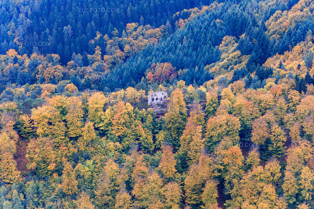 Aerial view: Hohenfels Castle in Dambach in the state Bas-Rhin, France. – Photo: IMG_084670.jpg taken on 10/23/2015 by Werner Riehm/FLY-FOTO.com – Resolution of the original: 5472 x 3648 px – Burg Hohenfels