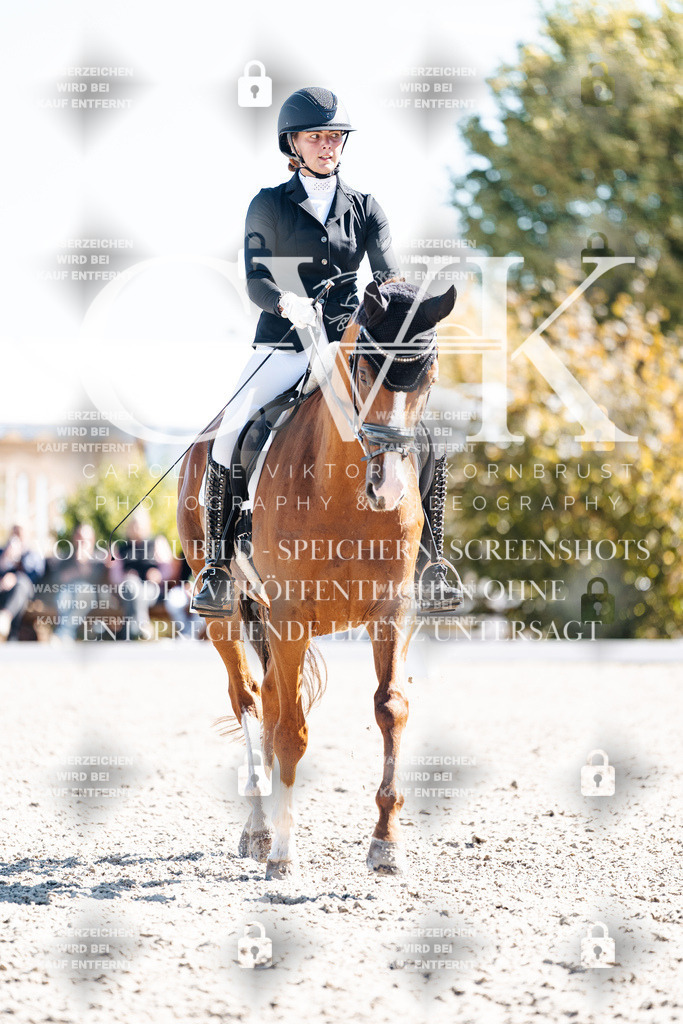 CK909198 | Turnierfotografie Pferdefotografie Trier Rheinland-Pfalz Pferdesport Reitsport Tierfotografie Sportfotografie Pferdevideo Pferdevideografie Equestrianvideography equestrianphotography  - Realisiert mit Pictrs.com