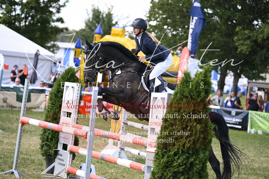 DSC_0295 | Pferde- und Turnierfotografie in Westsachsen. Pferdeportraits, Auftragszeichnungen und intuitive Kunst.