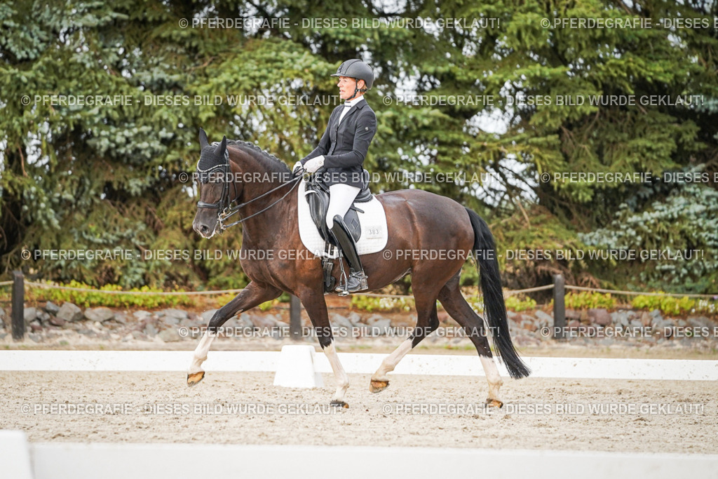 DSC08929 | Pferdegrafie