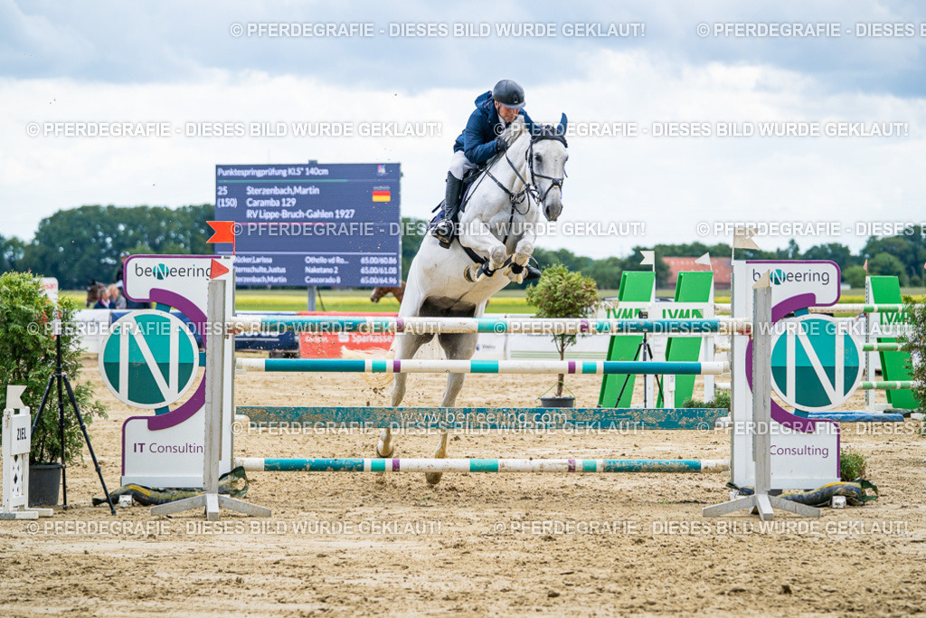 DSC05954 | Pferdegrafie