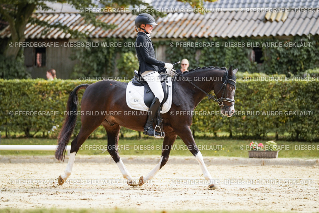 DSC04752 | Pferdegrafie