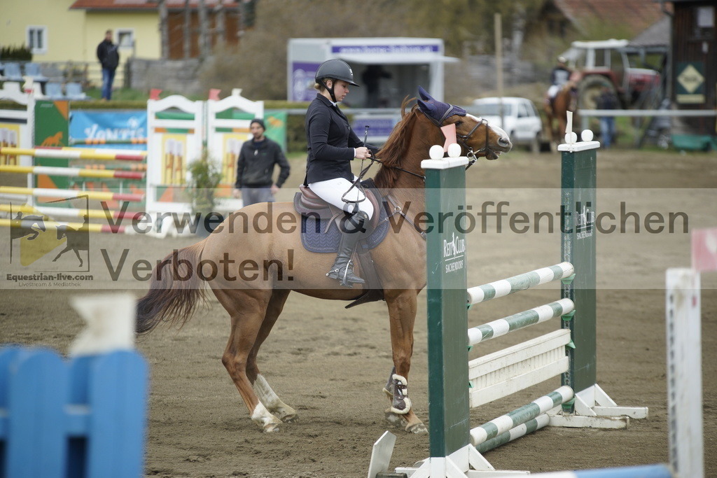 _DSC7307 | equestrian-live-com