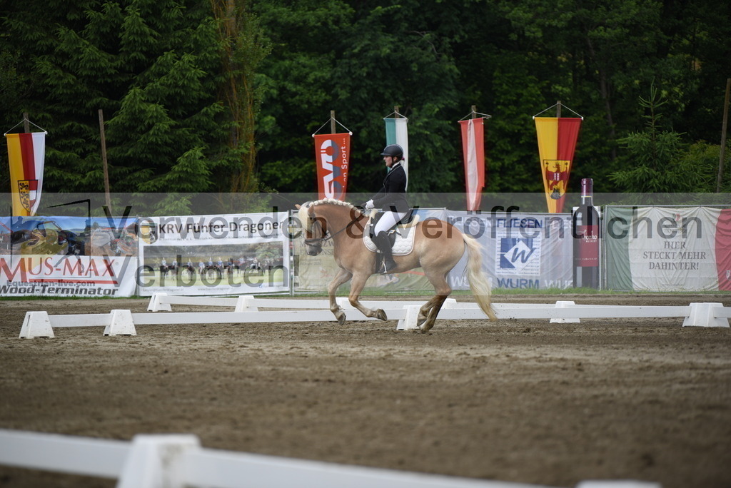 DSC_7808 | equestrian-live-com