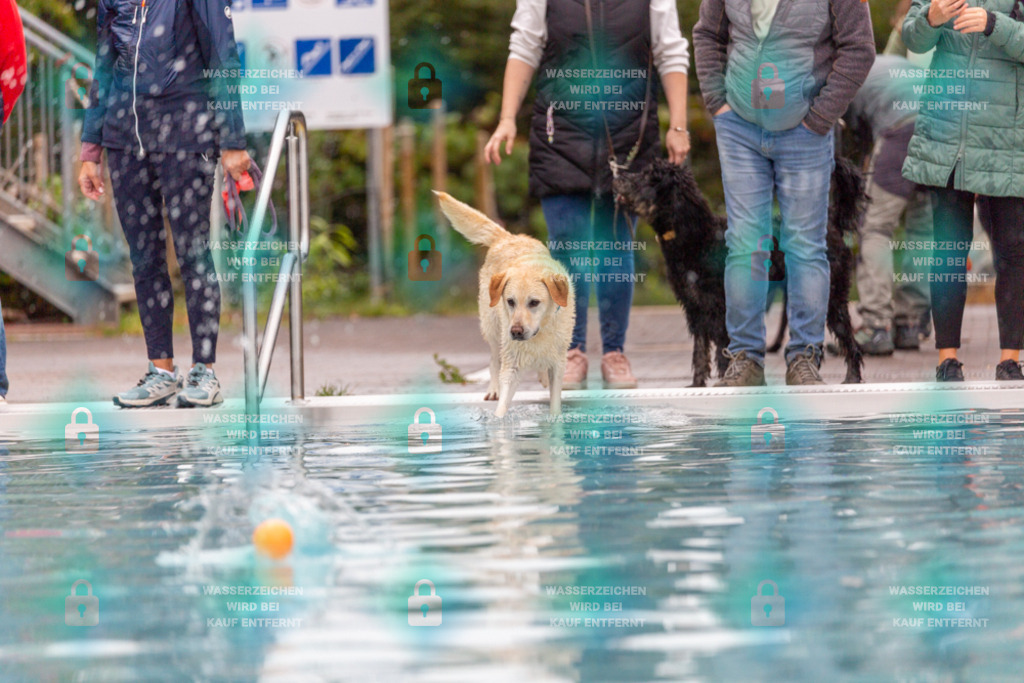 _HP_7162_1000o | HetPix, HetPix Fotodesign, Fotografie, Fotodesign, Webshop, Sportfotografie, Portraitfotografie, Onlineshop, Sportfotografie, Polch, Motorsportfotografie, Eventfotografie