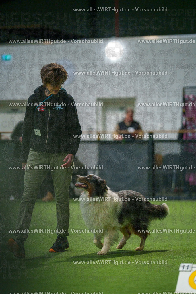 7R504732 | Professionelle Tierfotografie in Mönchengladbach von Daniel Wirth (allesWIRTHgut). Liebevolle & natürliche Bilder von Hunden & Katzen für unvergessliche Erinnerungen.