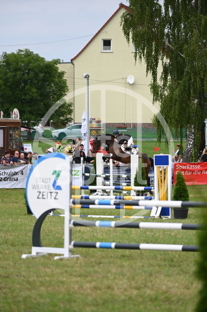 DSC_1816 | sattelsport - Realisiert mit Pictrs.com