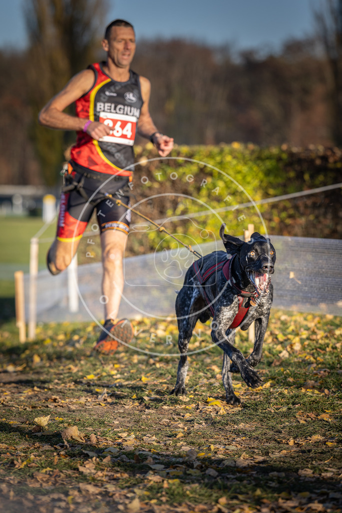 CaniXpix_DV3A4093 | Hundefotografie, Tierfotograf, Pfotenfotografie, Fotoshooting Hund, Hunde Portrait, Hundesport, Hundeportraits, Heideshooting, Hunde, Sportfotograf, Hundefotograf, Turnierhundsport, THS,  - Realisiert mit Pictrs.com