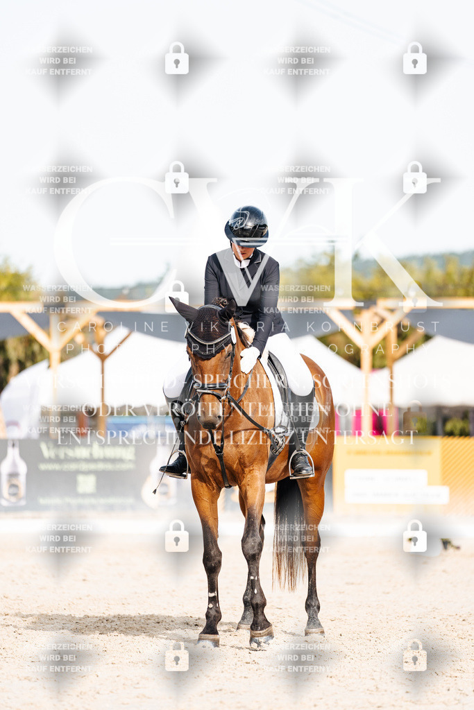 CK904987 | Turnierfotografie Pferdefotografie Trier Rheinland-Pfalz Pferdesport Reitsport Tierfotografie Sportfotografie Pferdevideo Pferdevideografie Equestrianvideography equestrianphotography  - Realisiert mit Pictrs.com