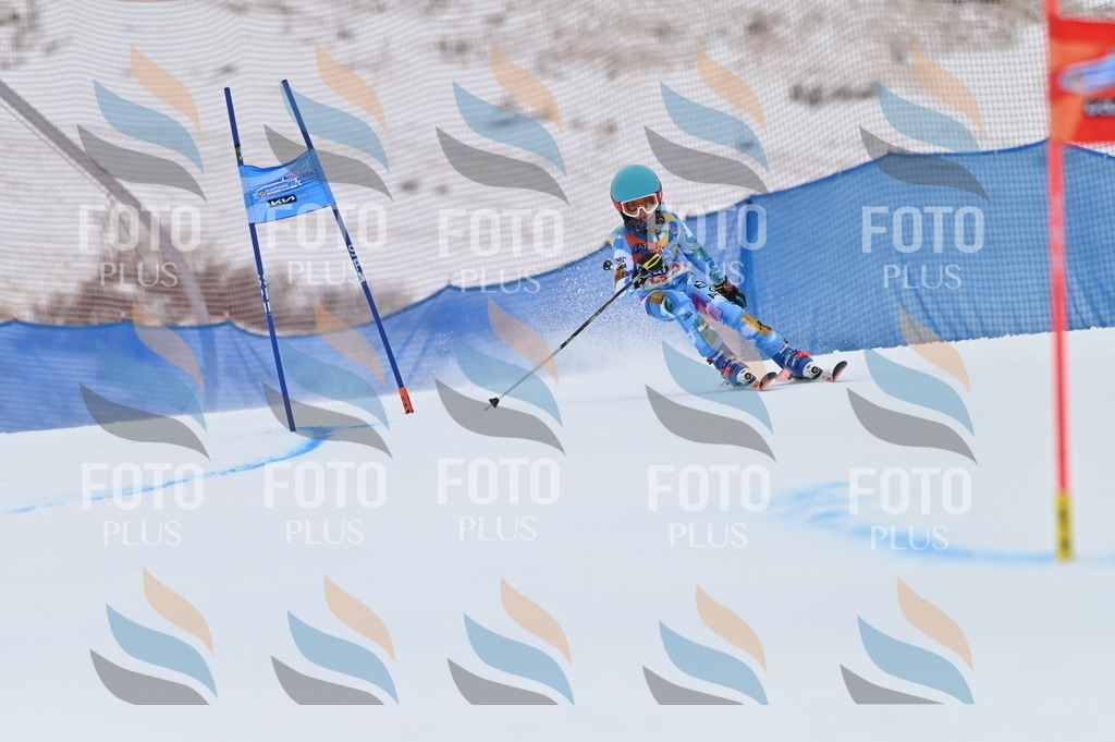 BGV_1029 | holidayphoto