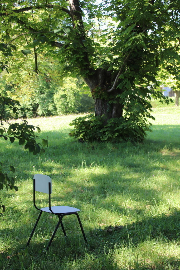Tree waiting for company | Naturskulptur
