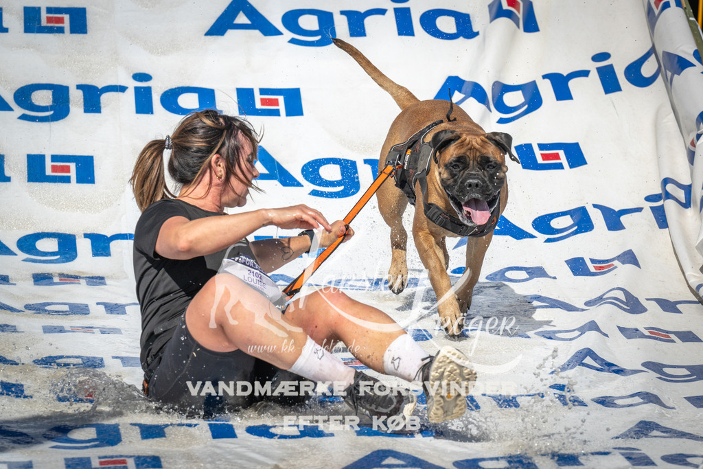 1600_ZZ98067 | kk-dogfotos