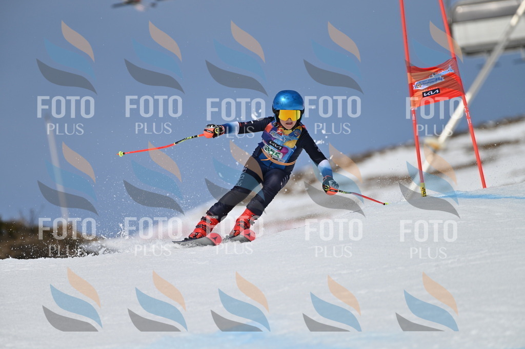 BGV_6997 | holidayphoto