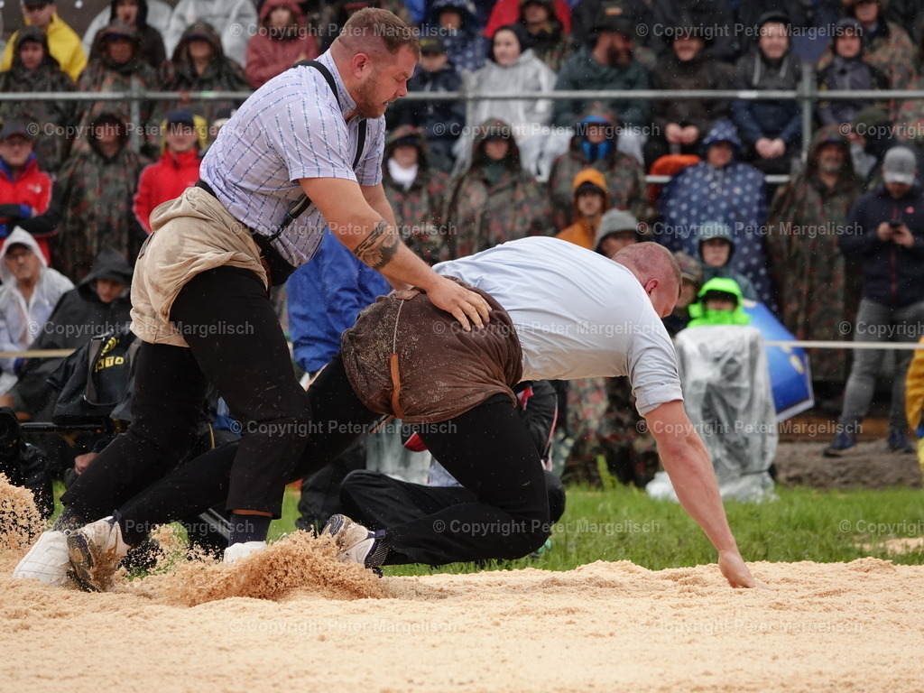 DSC07565 | Schwingen - Realized with Pictrs.com