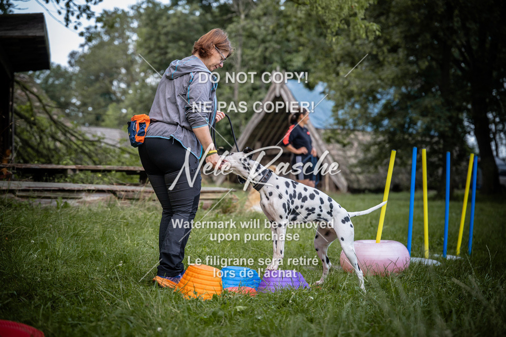 nelerasche_SoEarlyDog_110 | nelerasche