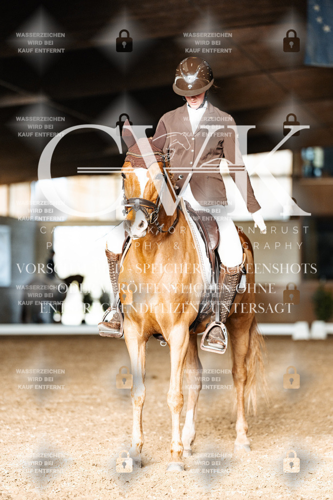 CK902960 | Turnierfotografie Pferdefotografie Trier Rheinland-Pfalz Pferdesport Reitsport Tierfotografie Sportfotografie Pferdevideo Pferdevideografie Equestrianvideography equestrianphotography  - Realisiert mit Pictrs.com