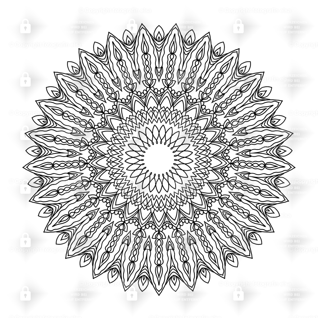 73Seite | fotografinelsa