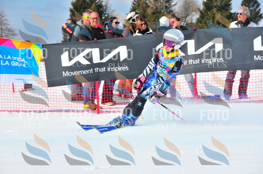 DSC_1356 | holidayphoto