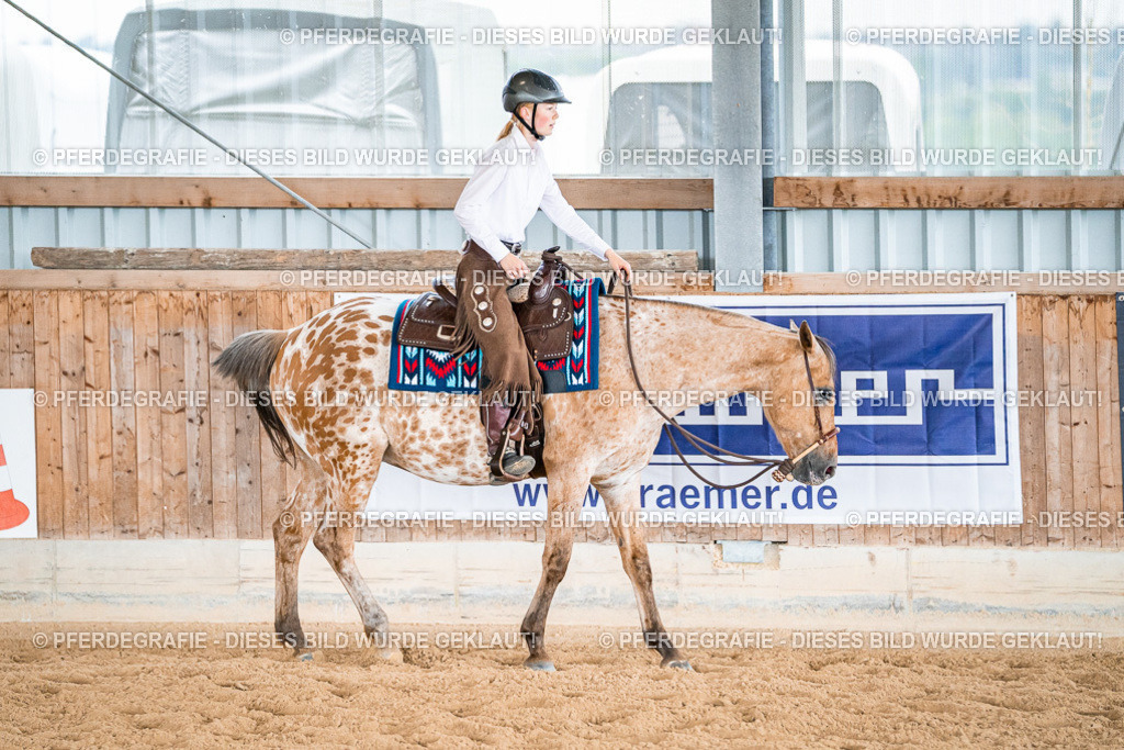 DSC09411 | Pferdegrafie