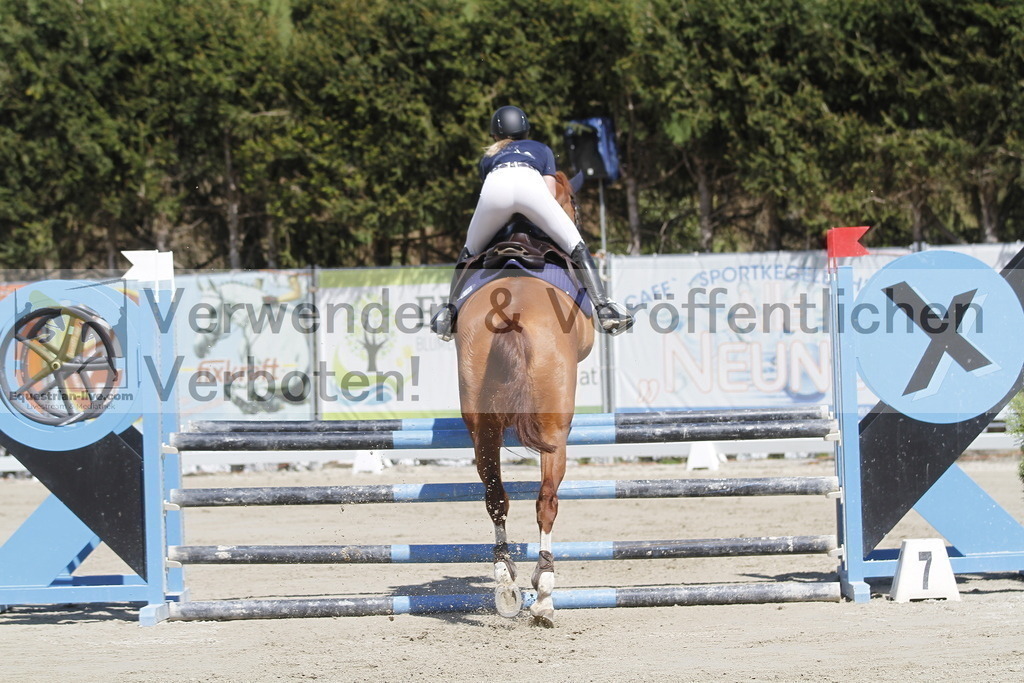 _MG_6645 | equestrian-live-com