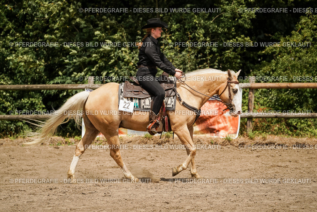 DSC09870 | Pferdegrafie