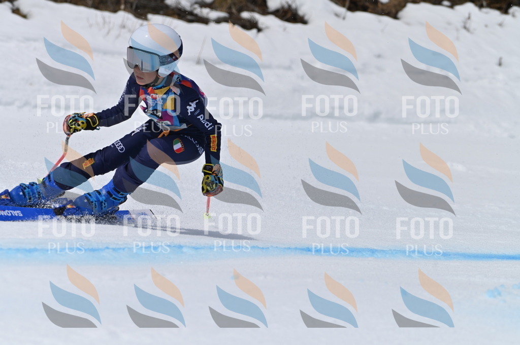 BGV_3938 | holidayphoto