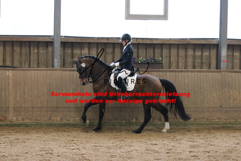 IMG_8969 | lmwpictures - Realisiert mit Pictrs.com