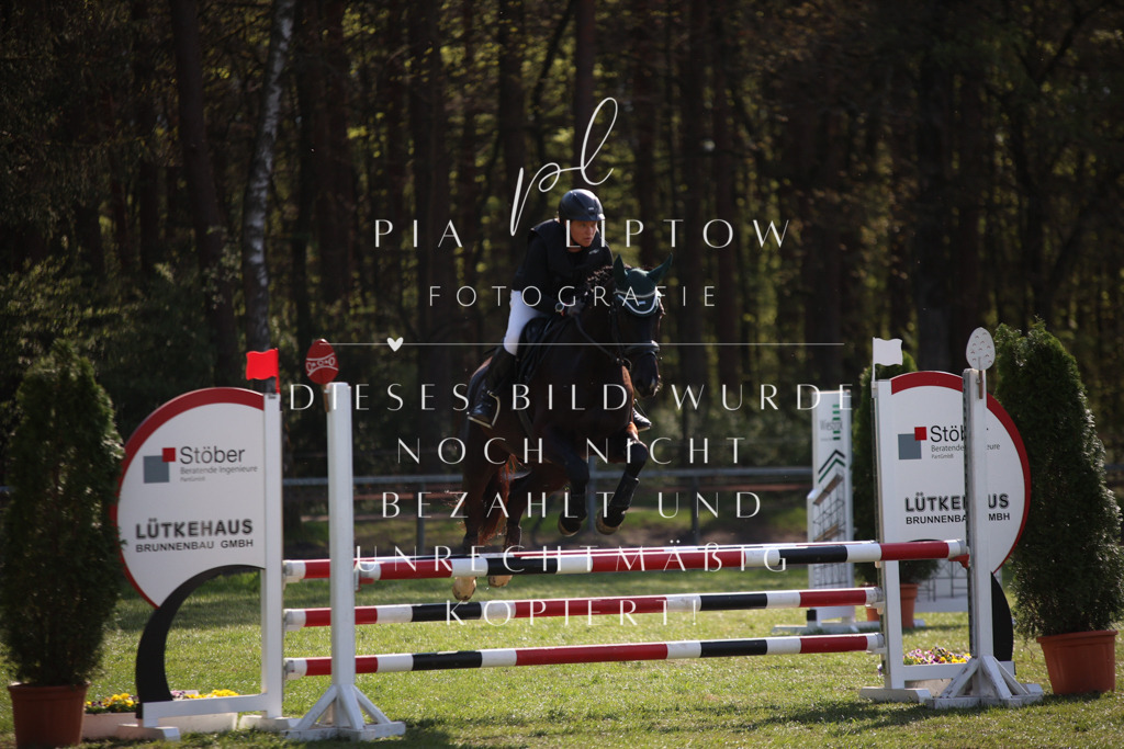 IMGT9231 | pl-fotografie