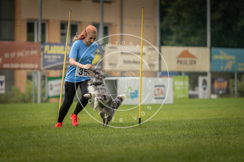 Pfotenfotografie_DV3A2586 | Hundefotografie, Tierfotograf, Pfotenfotografie, Fotoshooting Hund, Hunde Portrait, Hundesport, Hundeportraits, Heideshooting, Hunde, Sportfotograf, Hundefotograf, Turnierhundsport, THS,  - Realisiert mit Pictrs.com