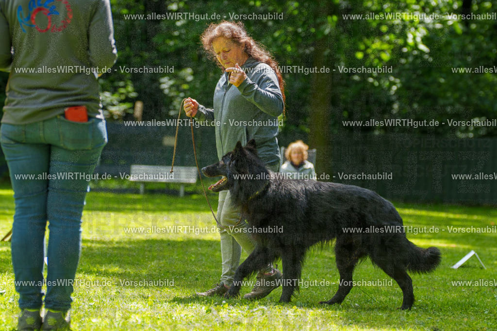 @allesWIRTHgut_Tierfotografie - www.allesWIRTHgut.de - 7R505673 | Professionelle Tierfotografie in Mönchengladbach von Daniel Wirth (allesWIRTHgut). Liebevolle & natürliche Bilder von Hunden & Katzen für unvergessliche Erinnerungen.