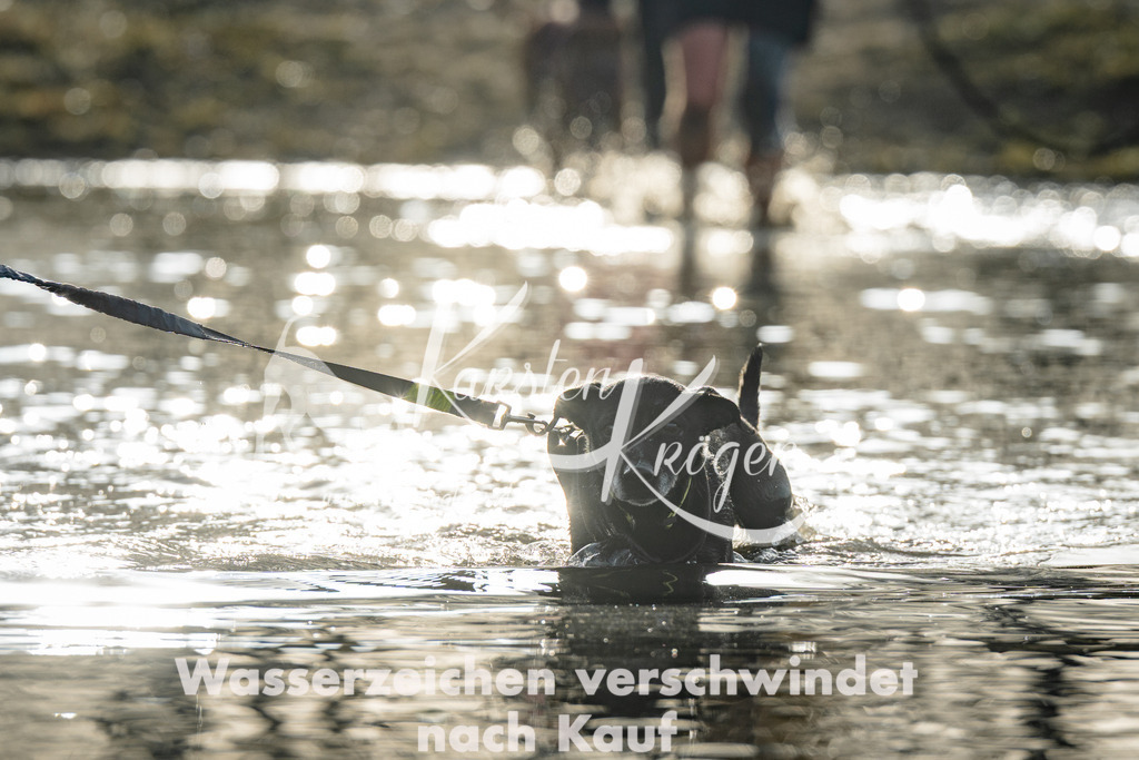 0907_ZZ99938 | kk-dogfotos