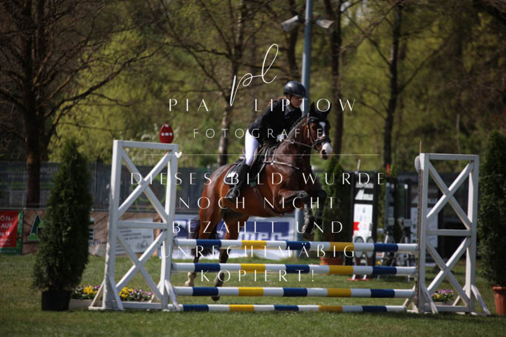 IMGT5320 | pl-fotografie