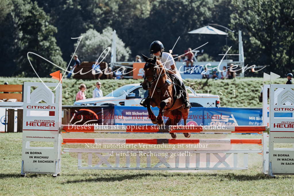 DSC_6172 | Pferde- und Turnierfotografie in Westsachsen. Pferdeportraits, Auftragszeichnungen und intuitive Kunst.