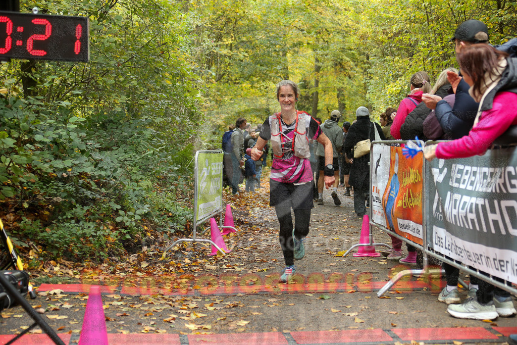 251026_1302_EX1_2292 | Sportfotografie im Rhein-Sieg Kreis, Köln, Bonn, NRW, Rheinland Pfalz, Hessen, etc. Unser Tätigkeitsfeld umfasst den Laufsport vom Volkslauf über den Marathon, Duathlon, Triathon bis zum Ultralauf wie Kölnpfad Ultra oder Schindertrail.