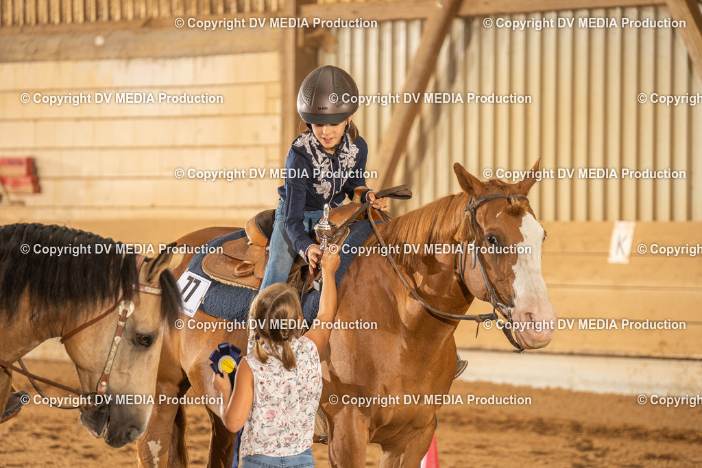 NID02918 | dv-media-shop - Realisiert mit Pictrs.com