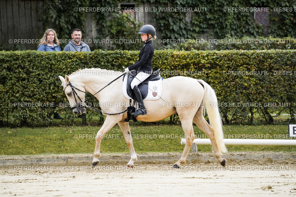 DSC05099 | Pferdegrafie