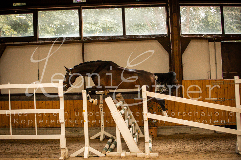 2FS_L00105 | Leoni Ertmer Photography - Realisiert mit Pictrs.com