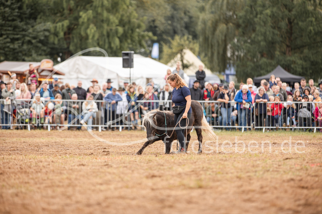 846A3741 | fotosleben - Realisiert mit Pictrs.com