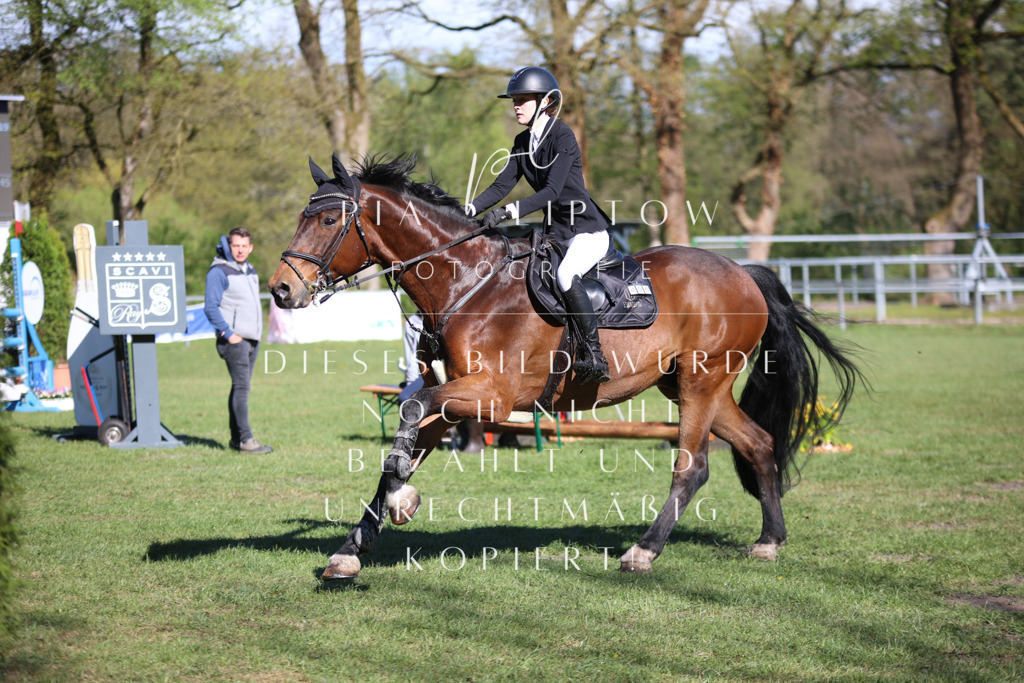 IMGT0160 | pl-fotografie