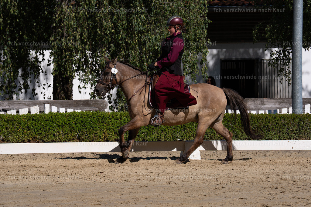 WA_DR_45_SinaFilmArt_IN01413 | working equitationturnier fotograf videograf stoibphotography marixx film working equitation deutschland reitsport turnierfotografie eventfotografie equestrian events