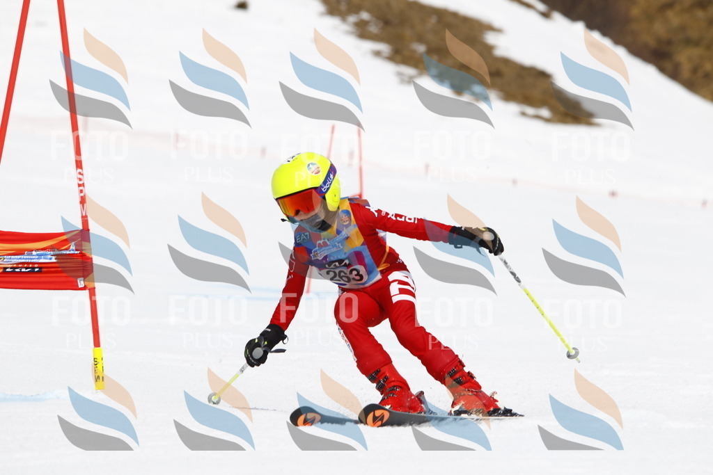 _U3G6589 | holidayphoto