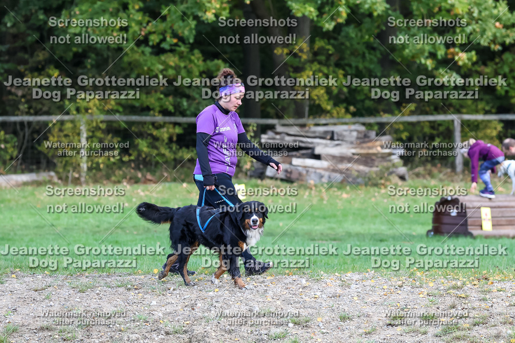 Dog Paparazzi - Strongdog 10-25-8273 | Dog Paparazzi Jeanette Grottendiek Fotografie & Videografie - Realisiert mit Pictrs.com