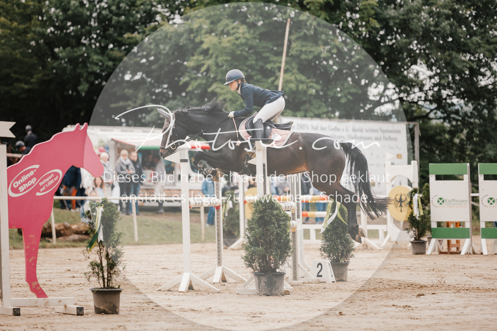 3I6A1981 | Stimmungsvolle Portraits und Reitsportfotografie im Ruhrgebiet und im Münsterland.

Pferdefotografie, Hundefotografie, Tierfotografie, Reportagen, Portraits von Tier und Mensch, Turnierfotografie in Bochum, Recklinghausen, Marl, Haltern am See, Dülmen.. - Realisiert mit Pictrs.com