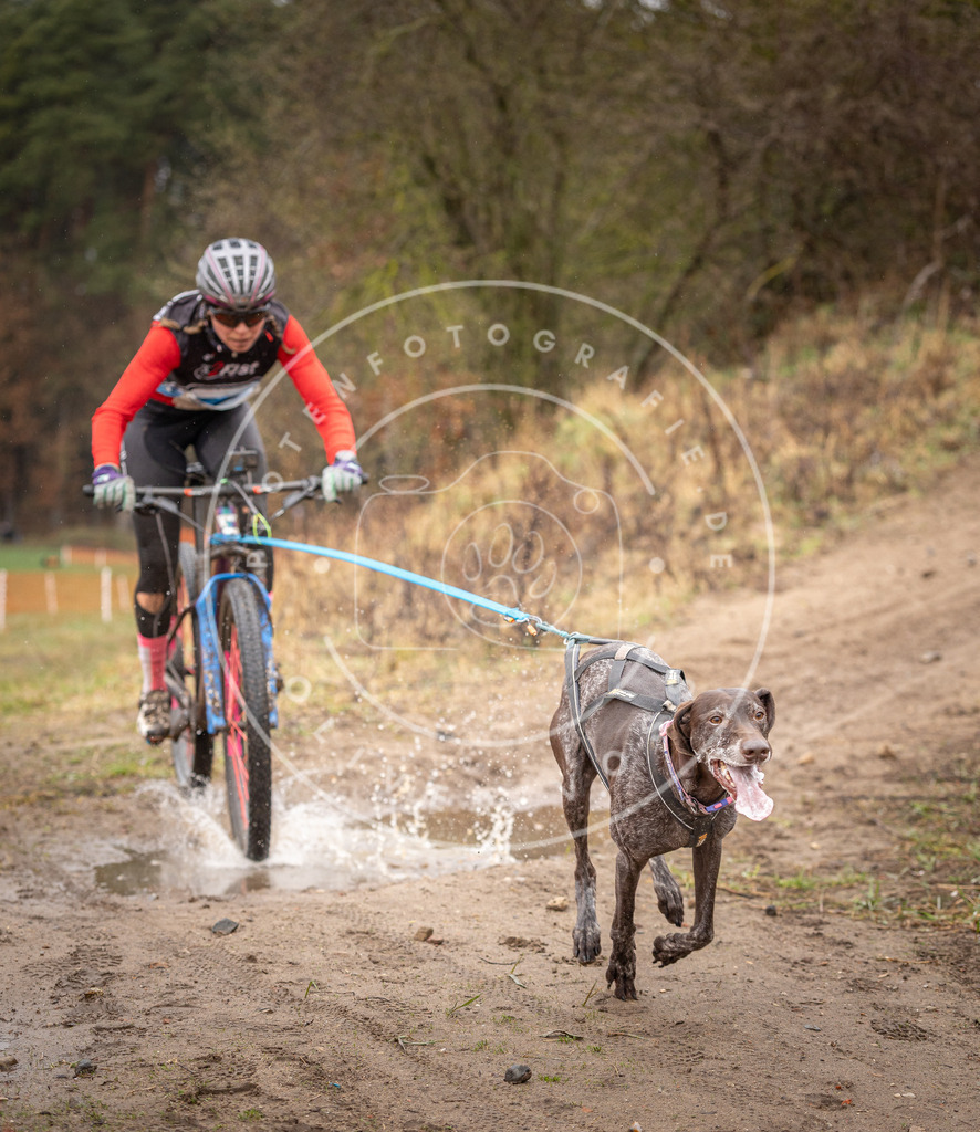 DV3A8988 | Hundefotografie, Tierfotograf, Pfotenfotografie, Fotoshooting Hund, Hunde Portrait, Hundesport, Hundeportraits, Heideshooting, Hunde, Sportfotograf, Hundefotograf, Turnierhundsport, THS,  - Realisiert mit Pictrs.com