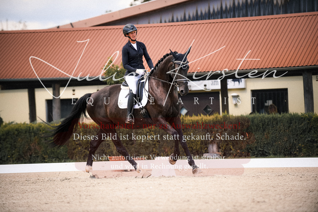 DSC_9058 | Pferde- und Turnierfotografie in Westsachsen. Pferdeportraits, Auftragszeichnungen und intuitive Kunst.